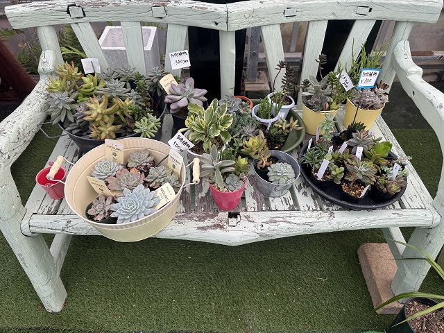 ガーデニング・フラワーショップ